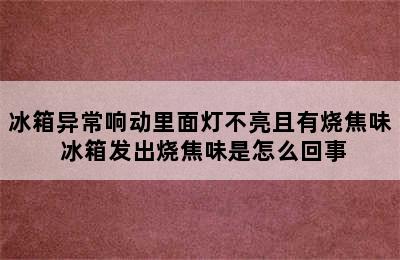 冰箱异常响动里面灯不亮且有烧焦味 冰箱发出烧焦味是怎么回事